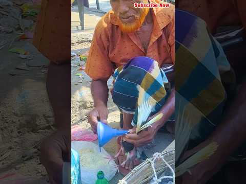কবুতর বাচ্চাকে খাবার খাওয়ানোর পদ্ধতি #kobutorer #shortvideos #kobutor #kabutar #birds #pigeon