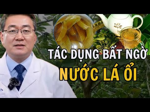 Chuyện Gì Xảy Ra Khi Uống Nước Lá Ổi Mỗi Ngày