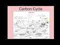 Biogeochemical Cycles and Oxygen Sources