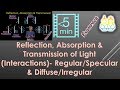 Light Interaction and Reflection Concepts