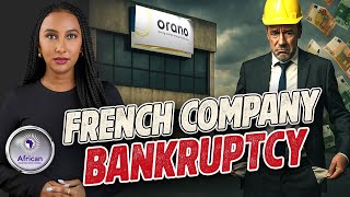 France's Uranium Company Goes Bankrupt After Niger Government Export Restrictions