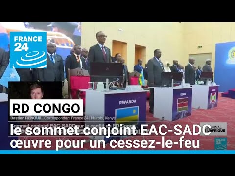 RD Congo : le sommet conjoint EAC-SADC en Tanzanie œuvre pour un cessez-le-feu • FRANCE 24