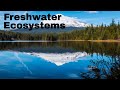 Freshwater Ecosystems and Wetlands