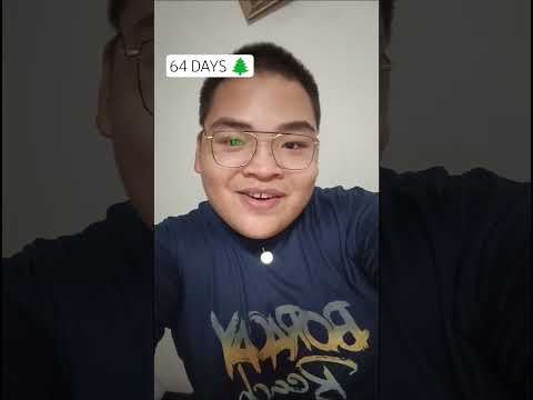 D-64 | COUNTDOWN TO CHRISTMAS DAY #christmastree #christmas #holidayseason #holiday #birthofjesus