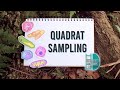 Quadrat Sampling Techniques and Concepts