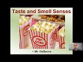 Pavlov's Conditioning and Sensory Perception