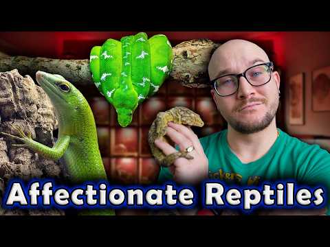 THE MOST SHOCKING AFFECTIONATE REPTILES You Would Never Guess Love You Back!