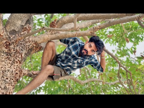 जामुन खाने सुबह सुबह पेड़ पर चड़ गए 🤣|| Adarsh Yadav Style ||#vlog