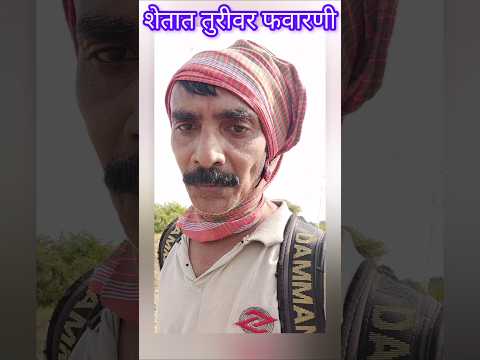 तुरीवर फवारणी🍂🌱#shorts #ytshorts #trending #short #youtubeshorts #youtube #viralvideo.