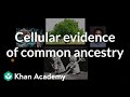 Understanding Evolutionary Biology