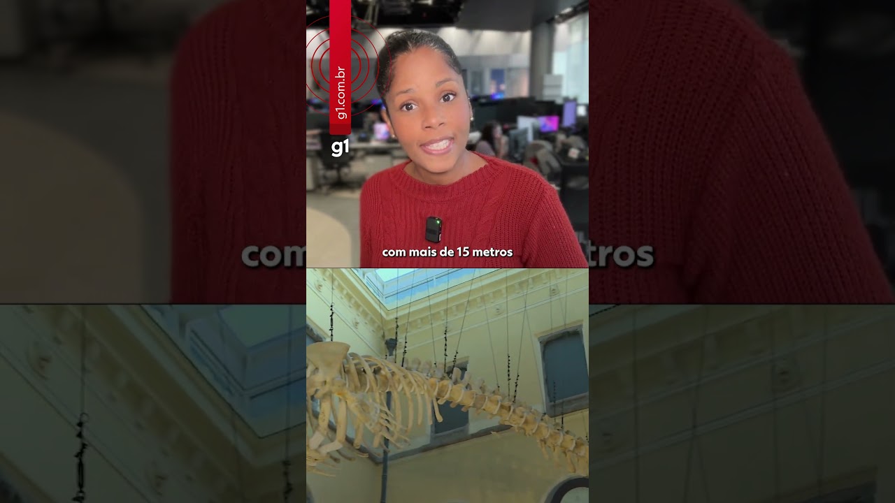 Museu Nacional abre as portas ao público pela 1ª vez desde o incêndio shorts g1