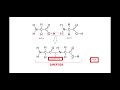 Protein Structure and Function Concepts
