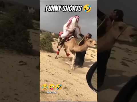 बस एक नजर उसको देखा दिल में उसकी तस्वीर लगी 😜🤣 #funny #shorts #viral #funnyvideo #ytshorts