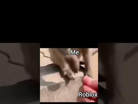 "Why bother?"🫠 #memes #shorts #relatable #views #subscribe #content