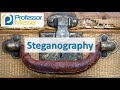 Understanding Obfuscation and Steganography