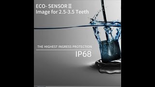 APPLEDENTAL ECO SENSOR DIGITAL DENTAL X-RAY (RVG ) INSTALLATION