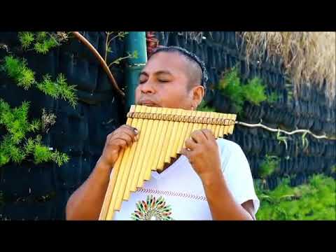 9 de julho de 2026