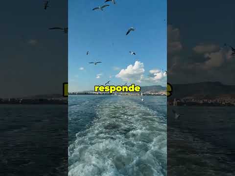 #hombrealfatop #motivacion #hombresconestilo #hombrealfa #hombremoderno #desarrollopersonal #exito