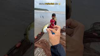 Saved a pufferfish & safely released it back into the sea 🥹