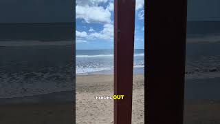 Playa Grande Surf Report 🏄 The Surf Beach Across From Tamarindo, Costa Rica #shorts