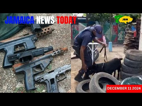 Jamaica News Today Wednesday December 11, 2024/JBNN