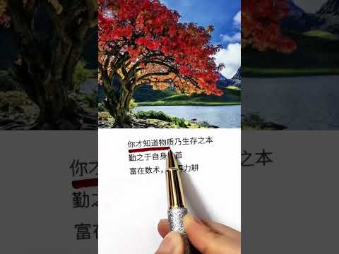 说真花 #心灵感悟 现实就是现实……感谢订阅☕☕