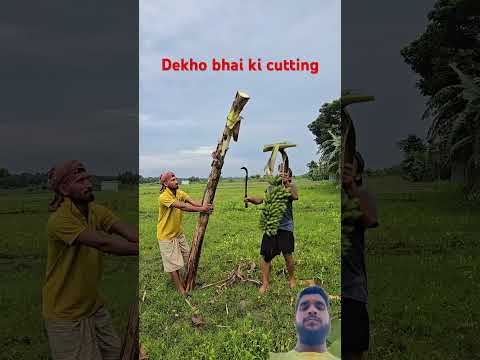 #shortsviral #farming #viral #shortfeed #animalcharacters #automobile #cartoonanimals #ai #funny