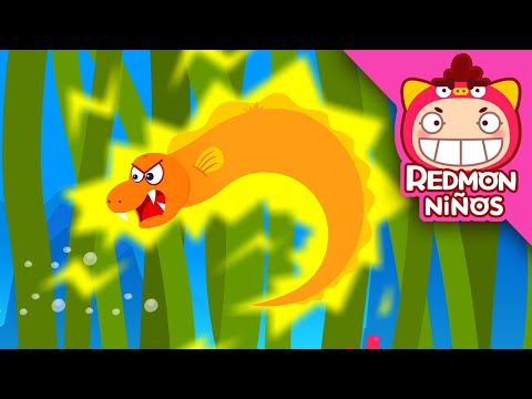 Salvar a la anguila | Equipo de Rescate Animal | redmon Español | REDMON NiÑOS