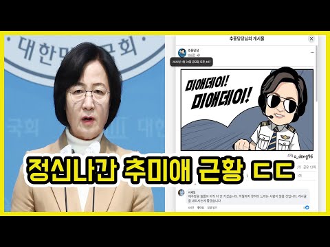 추미애 무안 공항 참사 능욕 논란 ㄷㄷ | 도람뿌