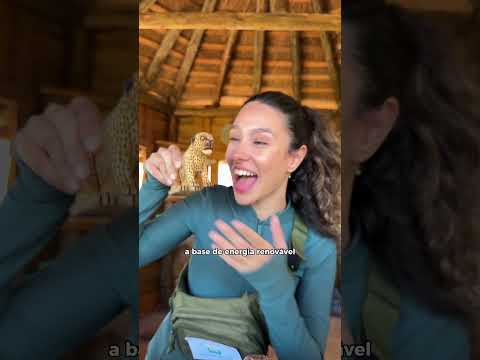 Energia que conecta cultura e natureza