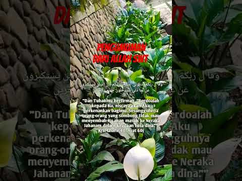 PENGUMUMAN #reminder