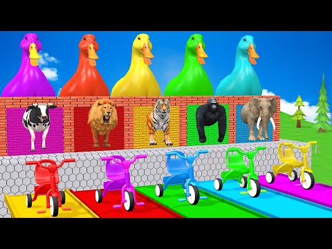 Long Slide Game With Cow Elephant Tiger Lion Gorilla - 3d Animal Game - Funny 3d Animals