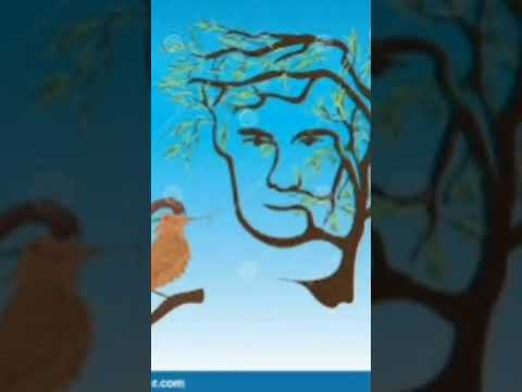 amazing face hide in illusion girls video #illusion #trending #viral #shorts #video