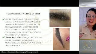 🔬✨LAS 4 FASES DE CICATRIZACIÓN EN MICROPIGMENTACIÓN DE CEJAS ✨🔬