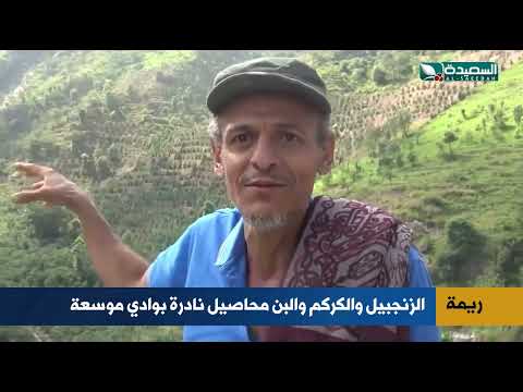 قناة السعيدة الفضائية