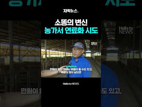 냄새나는 소똥의 대변신, 농가서 연료화 시도ㅣ#shorts #헬로tv뉴스