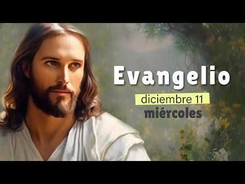 Lecturas del día de hoy Miércoles 11 de diciembre de 2024 | Evangelio de Hoy, Hermano Andrés