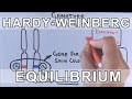 Hardy-Weinberg Equilibrium Concepts