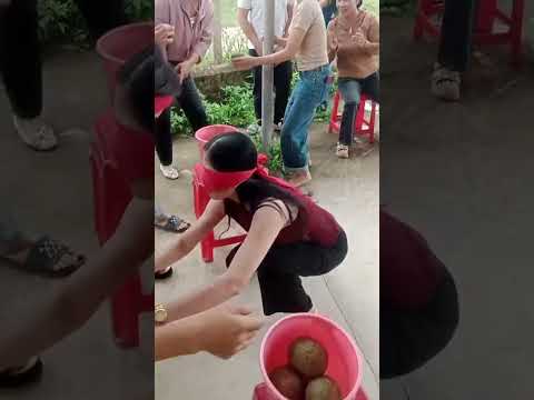 laugh out loud, blindfolded orange picking game of Vietnamese women