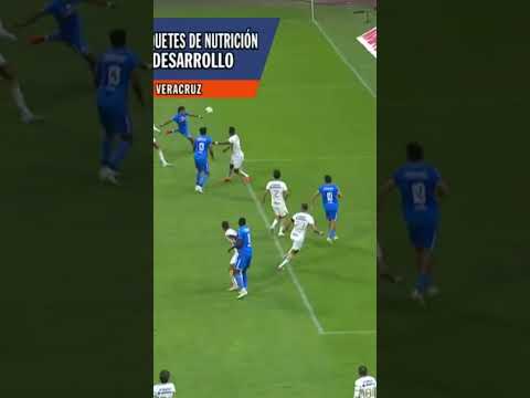 GOLAZO DE VOLEA... y a los Pumas #shorts