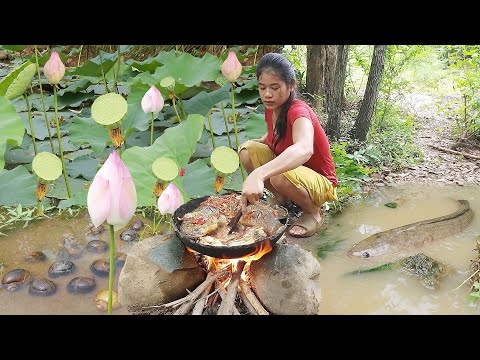 Survival in the rainforest, Catch fish & frog for jungle food, Catch and cook snail spicy for dinner