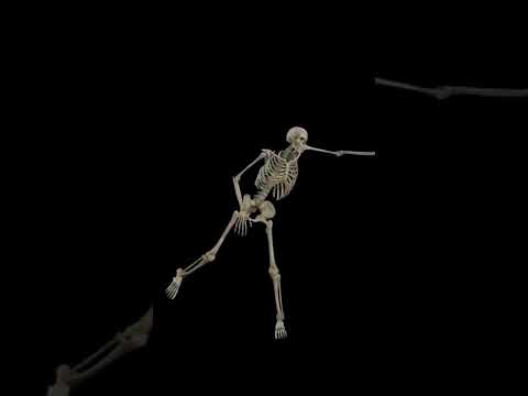 #funny #video #like #subscribe