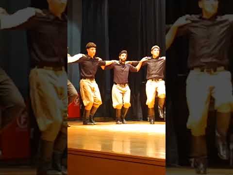 #kriti #dance #folk #folklore #history #dancer