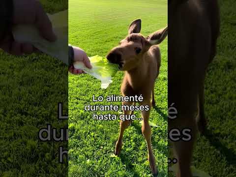 Solucioné Su Problema❤️