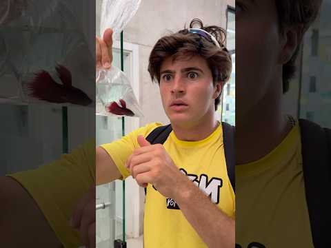 POR ÁGUA ABAIXO