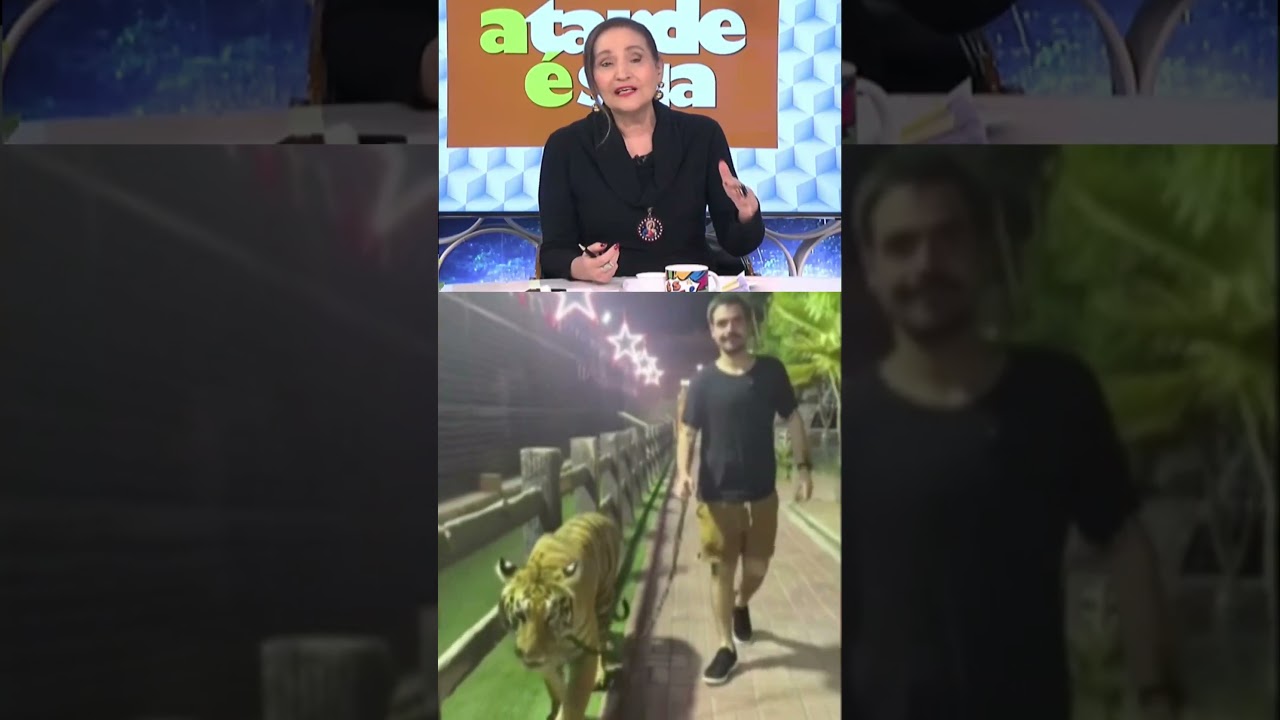Sonia Abrão reage a vídeo de João Silva com tigre: “Achei que fosse IA”