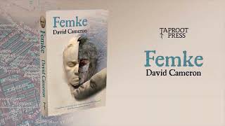 Femke, a novel by David Cameron