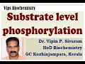 Substrate-Level Phosphorylation Concepts