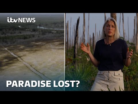 Paradise nearly lost: The Bahamas facing existential rising ocean levels | ITV News