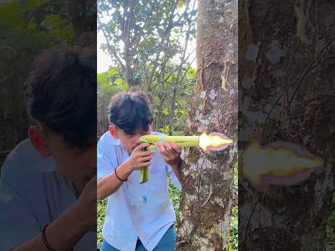 main tembak-tembakan #diy #kreatif #viral #art #craft